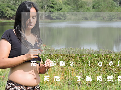 花唄逾期2個(gè)月不能用了(花唄逾期兩天后還了最低然后就不能用了)
