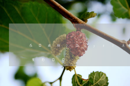 花唄逾期2個(gè)月對(duì)借唄有影響嗎-