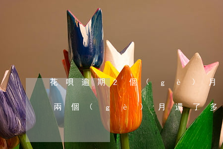花唄逾期2個(gè)月怎么辦(花唄逾期了兩個(gè)月還了多久才可以使用)