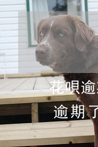 花唄逾期2個多月會怎樣(花唄逾期兩千塊錢 逾期了幾個月了會怎么樣)