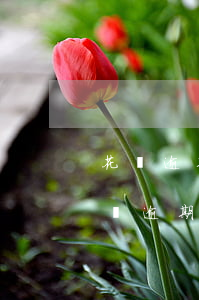 花唄逾期2個小時,會有什么不良后果嗎-花唄逾期2個小時,會有什么不良后果嗎