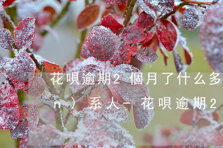 花唄逾期2個月了什么多久會打聯(lián)系人-花唄逾期2個月了,什么多久會打聯(lián)系人