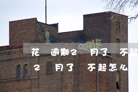 花唄逾期2個月了還不起怎么辦-花唄逾期2個月了還不起怎么辦呢