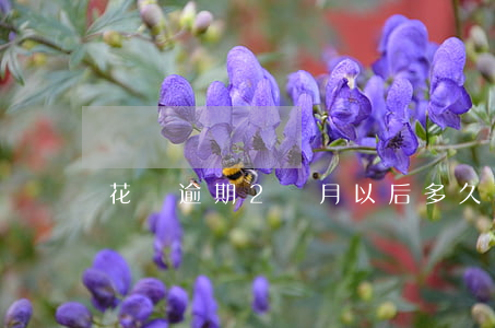 花唄逾期2個月以后多久可以恢復