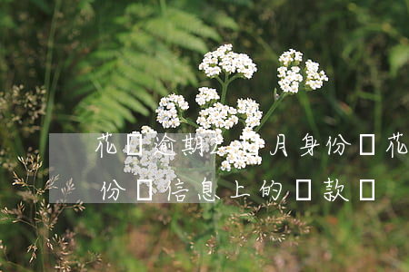 花唄逾期2個月身份證(花唄逾期影響的是身份證信息上的貸款嗎)