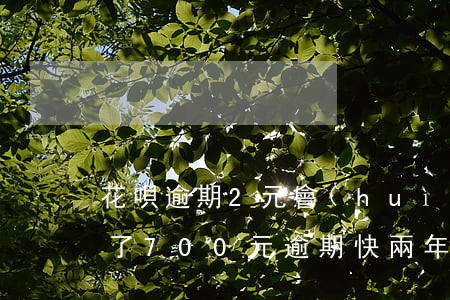 花唄逾期2元會(huì)上征信嗎(花唄欠了700元逾期快兩年了會(huì)不會(huì)上征信)