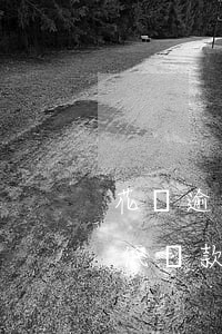 花唄逾期2天最低還款(花唄逾期3天還了最低還款怎么沒有額度了)
