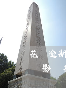 花唄逾期2天會影響什么(花唄逾期兩天還款會影響花唄額度嗎?)