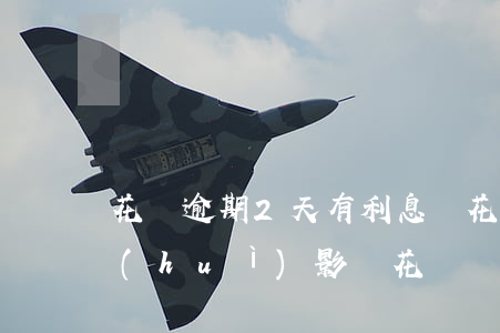 花唄逾期2天有利息嗎(花唄逾期兩天還款會(huì)影響花唄額度嗎?)