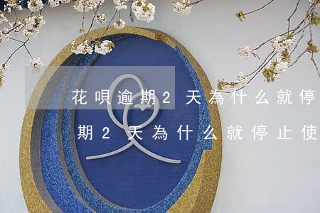 花唄逾期2天為什么就停止使用了-花唄逾期2天為什么就停止使用了呢