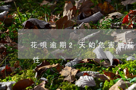 花唄逾期2天的危害性 花唄逾期2天的危害性
