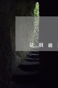 花唄逾期2天的危害（花唄逾期2天的危害）
