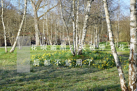 花唄逾期2天被停了 花唄逾期兩天是不是以后都不能用了?