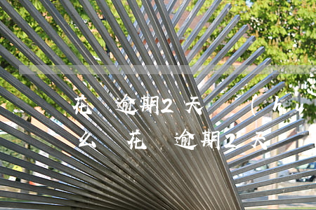 花唄逾期2天還會(huì)影響信用嗎怎么辦（花唄逾期2天還會(huì)影響信用嗎）
