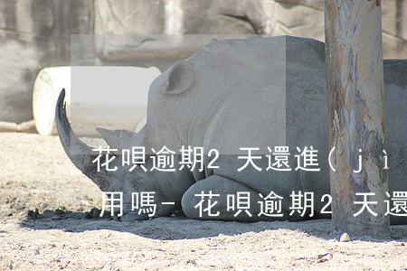 花唄逾期2天,還進(jìn)去之后還可以用嗎?-花唄逾期2天,還進(jìn)去之后還可以用嗎怎么辦