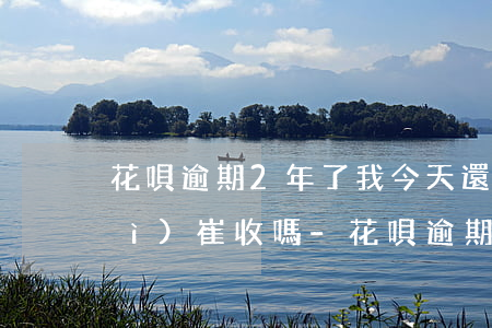 花唄逾期2年了我今天還了1期還會(huì)崔收嗎-花唄逾期2年還了恢復(fù)正常還能漲額度嗎