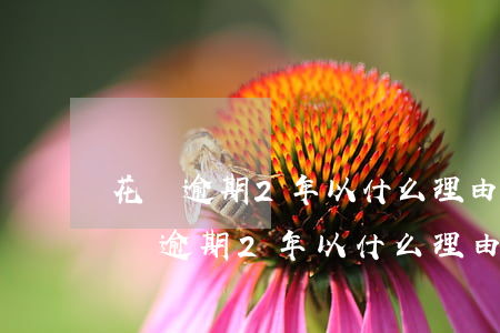 花唄逾期2年以什么理由證明不是故意-花唄逾期2年以什么理由證明不是故意的
