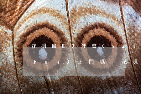 花唄逾期2年會(huì)被起訴,真的會(huì)上門嗎-花唄逾期2年會(huì)被起訴,真的會(huì)上門嗎