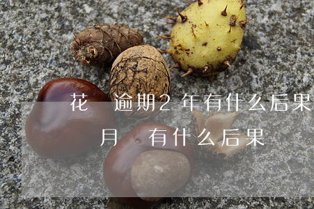 花唄逾期2年有什么后果(支付寶花唄逾期兩個月會有什么后果?)