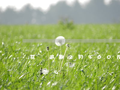 花唄逾期2月300元(花唄三千逾期兩個月會怎么樣)