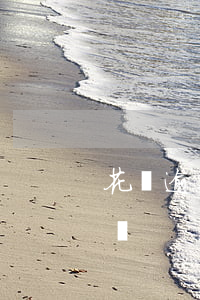 花唄逾期2月還能開嗎(花唄逾期2月還能開嗎)