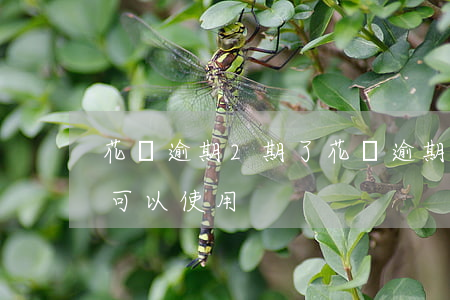花唄逾期2期了 花唄逾期兩月后 還款后多久可以使用