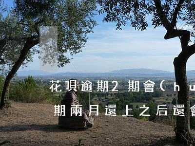 花唄逾期2期會(huì)上征信嗎(花唄逾期兩月還上之后還會(huì)上征信么)