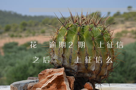 花唄逾期2期會上征信嗎(花唄逾期兩月還上之后還會上征信么)