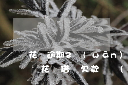 花唄逾期2萬(wàn)會(huì)起訴嗎(花唄借唄欠款兩萬(wàn)多逾期多久會(huì)被起訴)