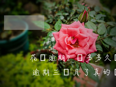 花唄逾期2萬多多久會起訴(欠花唄8000逾期三個月了,真的會起訴嗎?)