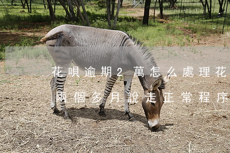 花唄逾期2萬怎么處理(花唄逾期兩千多,逾期兩個多月說走正常程序,上門調(diào)查)