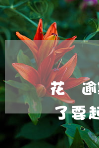 花唄逾期2萬被起訴-花唄逾期1萬多2年了要起訴我怎么辦