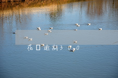 花唄逾期300