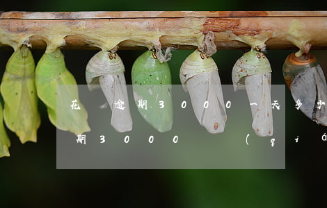 花唄逾期3000一天多少違約金-花唄逾期3000塊錢(qián)幾個(gè)月不還嚴(yán)不嚴(yán)重