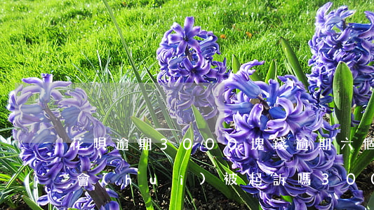花唄逾期3000塊錢逾期六個(gè)月會(huì)被起訴嗎（3000花唄逾期了會(huì)被起訴嗎）