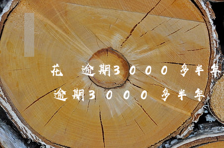 花唄逾期3000多半年會被起訴嗎-花唄逾期3000多半年會被起訴嗎知乎