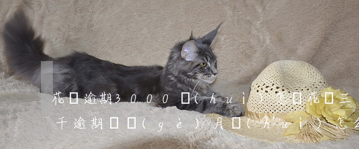 花唄逾期3000會(huì)怎樣(花唄三千逾期兩個(gè)月會(huì)怎么樣)