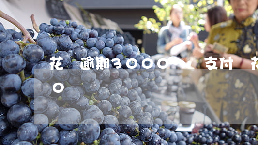 花唄逾期3000視頻(支付寶花唄逾期300塊)