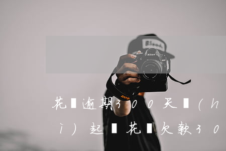 花唄逾期300天會(huì)不會(huì)起訴(花唄欠款300元逾期半年不還會(huì)怎樣?)