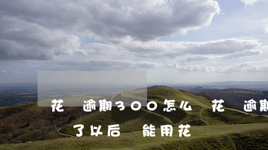 花唄逾期300怎么辦(花唄逾期300多天還了以后還能用花唄嗎)