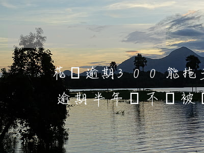 花唄逾期300能拖多久(花唄欠款3000逾期半年會不會被認(rèn)為是詐騙)