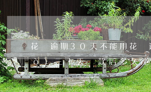 花唄逾期30天不能用(花唄逾期超過(guò)三十天還款后多久能正常使用)