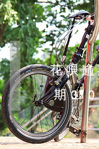 花唄逾期30天了還款額度還不了-花唄逾期30天了還款額度還不了怎么辦