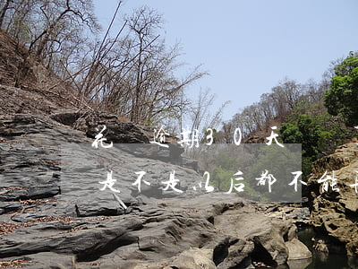 花唄逾期30天凍結了(花唄逾期超過30天是不是以后都不能再用了)