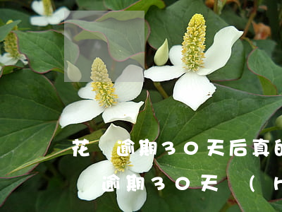花唄逾期30天后真的以后就沒法用了嗎，花唄逾期30天會(huì)導(dǎo)致賬戶凍結(jié)，無法繼續(xù)使用？