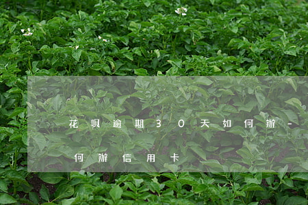 花唄逾期30天如何辦-花唄逾期30天如何辦信用卡