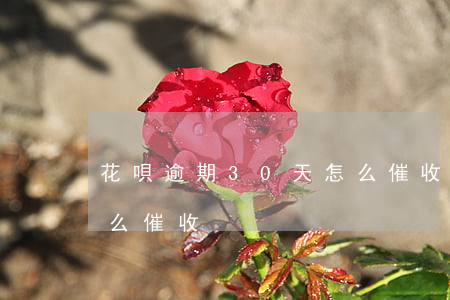花唄逾期30天怎么催收(花唄逾期30天怎么催收)