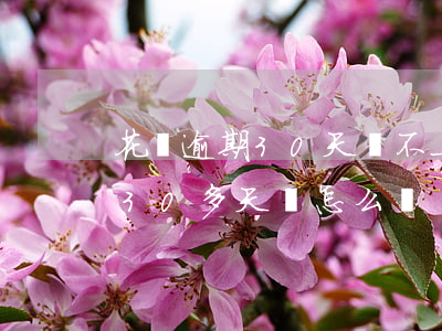 花唄逾期30天還不上怎么回事-花唄逾期30多天會怎么樣