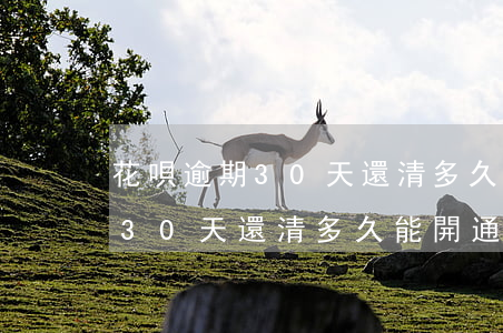 花唄逾期30天還清多久能開通-花唄逾期30天還清多久能開通額度