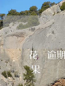 花唄逾期31天的后果(花唄逾期31天的后果)